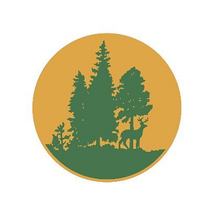 Aspen Roofing
