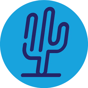 Blue Cactus Power Washing Mesa