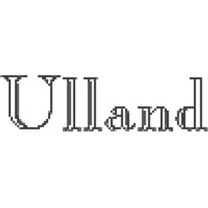 Ulland Investment Advisors Inc - Logo