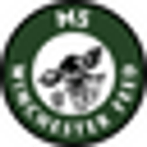 M5 Winchester Feed