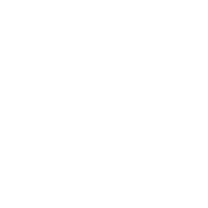 Northpoint Holdings, LLC - Logo