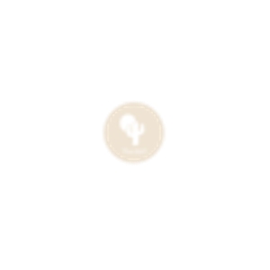 Desert Roots - Logo