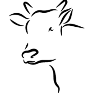 Cowtown Spray Foam Insulation
