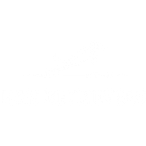 H & H Retrievers