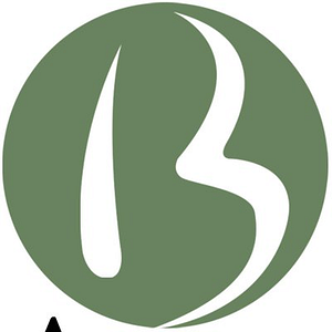Brace Accounting Services Inc - Logo