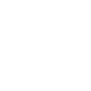 Kolibri Aesthetics - Logo