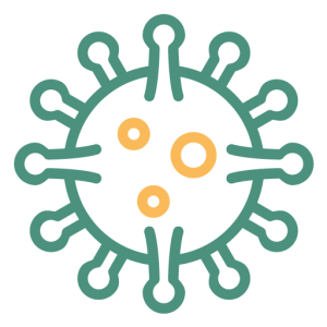 Grand Rapids Mold Experts