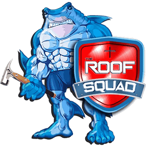 The Roof Squad