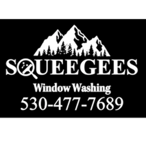 Squeegees Window Washing - Logo