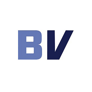 Boston Vitality - Logo