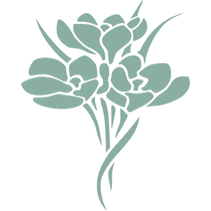 Serenity Aesthetics & Wellness - Logo