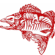 Leech Lake Guide Team - Logo