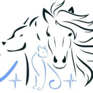 Avra Veterinary Clinic