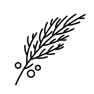 Juniper - Logo