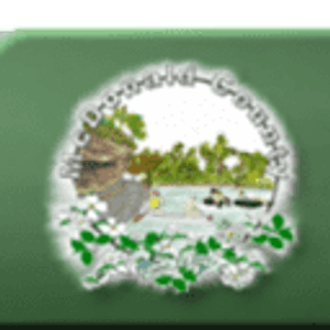 Travis Green Land Surveying