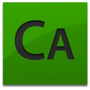 Correct Accounting Tax & Payroll Services Inc - Logo