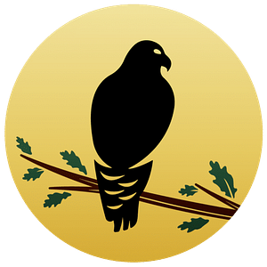 Red Tail Ranch - Logo