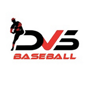 DVS Baseball Madison Heights - Logo