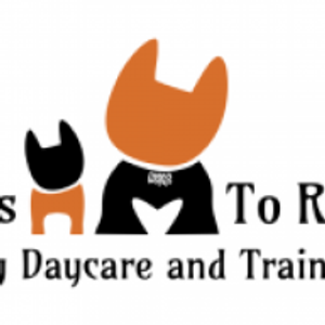 Wags to Rich's Dog Daycare and Training