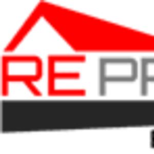 RE Professionals - Logo