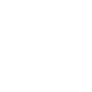 Élite Mobile Spa - Logo