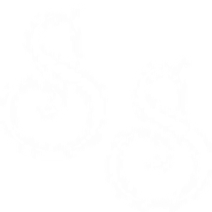 Skipper & Skipper, P.A. - Logo
