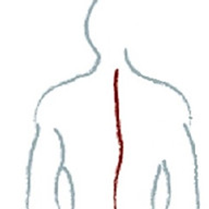 LifeWorks Chiropractic Clinic