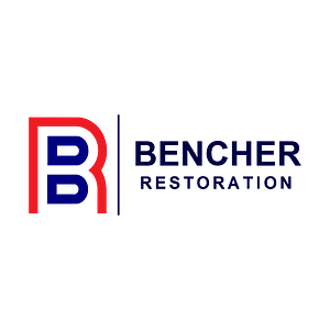 Balor Restoration - Logo