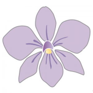 Petaluma Aesthetics: Nguyen Lana MD
