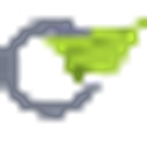The Face Place tm