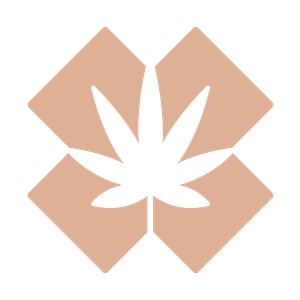 brwnbox - Logo