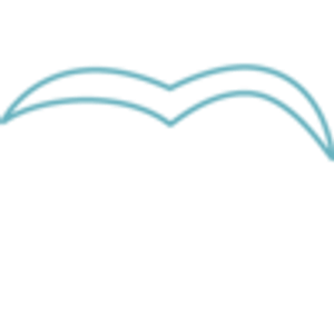 willfly breathwork and experiences by Stephi Wald - Logo