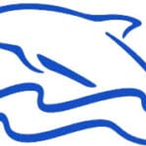 Dolphin Tours of Jekyll Island - Logo