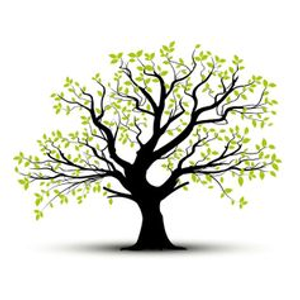 Integrative Wellness Counseling Services, Inc.