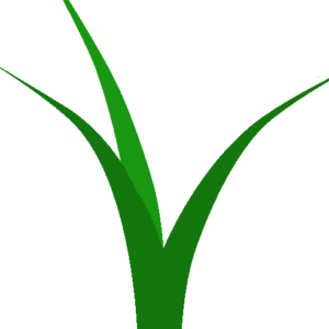 Evergreen Seed Supply - Logo