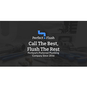 Perfect Flush - Logo