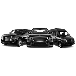 Hamptons VIP Ride - Logo