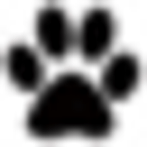Double D Ranch Dog Boarding And Training - Logo