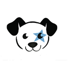 All Star Mutts Dog Training