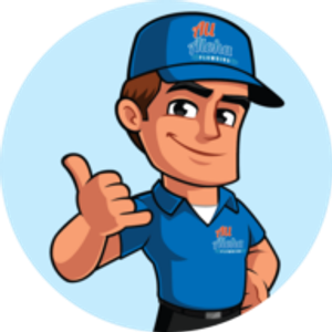 All Aloha Plumbing and Drain Cleaning Oahu