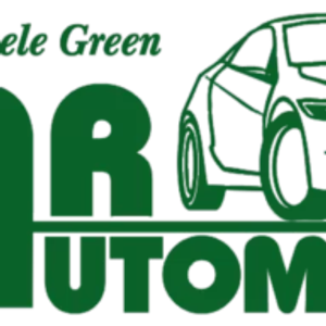 Star Automotive LLC - Logo