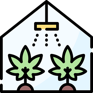 Homegrown of Augusta - Logo