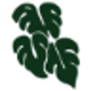 Doctors' Dog Park - Logo