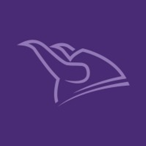 Viking Partners - Logo