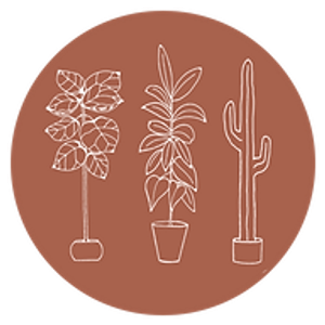 C&S Garden Center