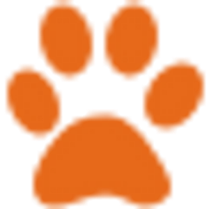 Noe Valley Pet Company