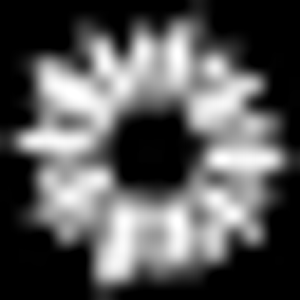 Wildflower Midwifery - Logo