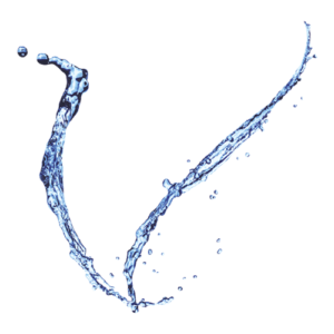 Vitalogy Health - Logo