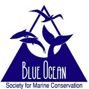 Blue Ocean Discovery Center