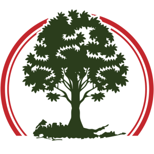 Kings Landscaping